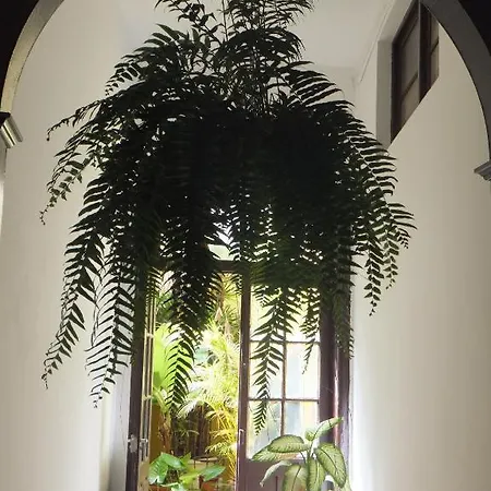Pensión Casa Colonial Cejas Santa Cruz de Tenerife