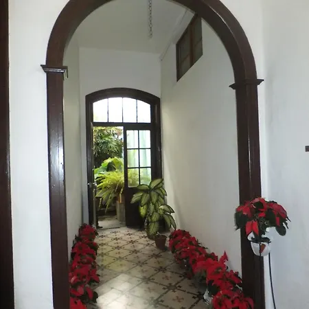 Casa Colonial Cejas 圣克鲁斯-德特内里费