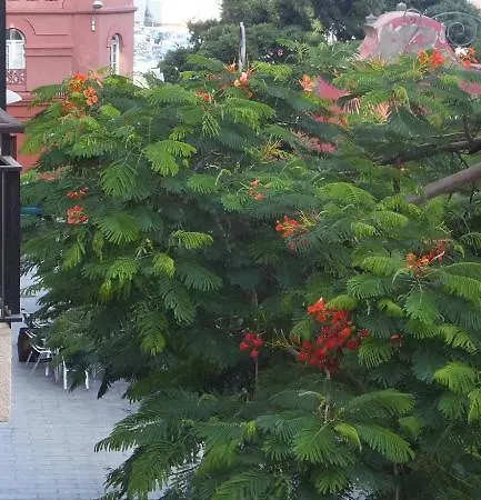 Casa Colonial Cejas Guest house