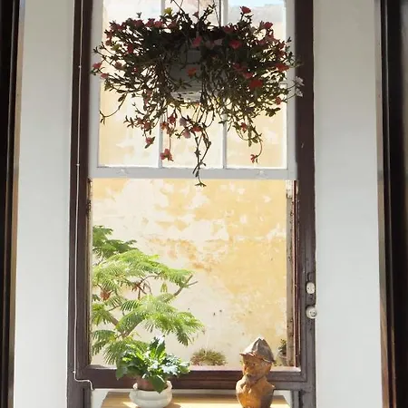 Casa Colonial Cejas Guest house