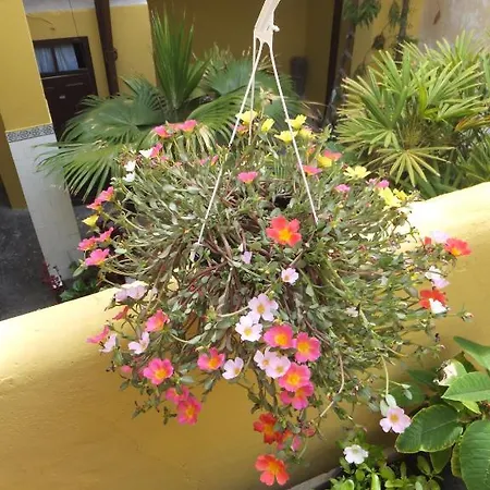 Casa Colonial Cejas Guest house Santa Cruz de Tenerife