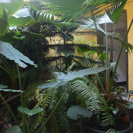 Casa Colonial Cejas * 圣克鲁斯-德特内里费