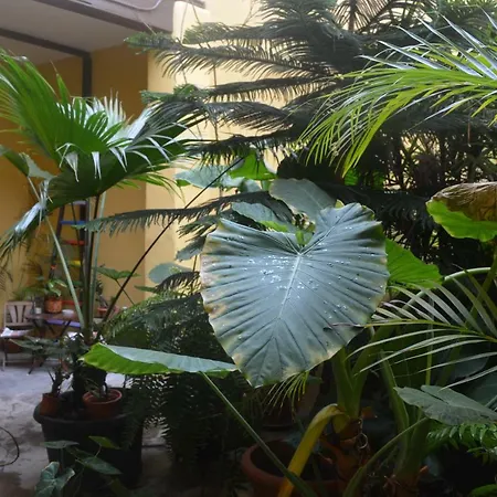 Casa Colonial Cejas 圣克鲁斯-德特内里费