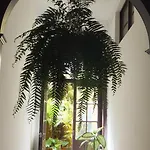 Guest house Cejas Casa Colonial Cejas Santa Cruz de Tenerife