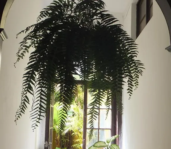 Pensionat Cejas Casa Colonial Cejas Santa Cruz de Tenerife